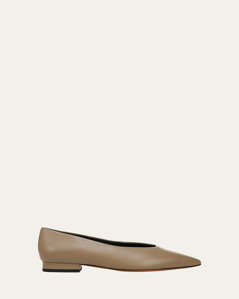 Isabel Leather Point-Toe Ballerina Flats